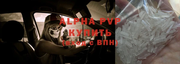 стаф Осташков