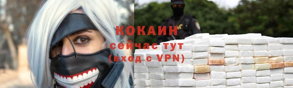 стаф Осташков