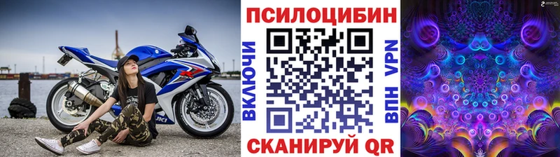 купить закладку  Кувшиново  Псилоцибиновые грибы Psilocybine cubensis 